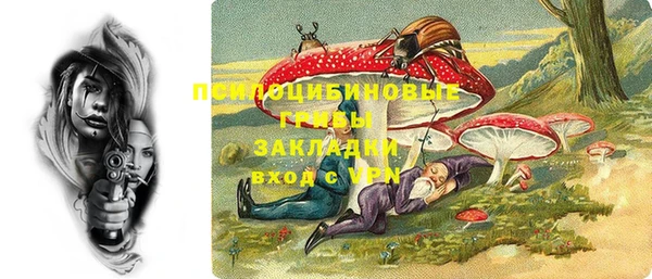 мет Арсеньев