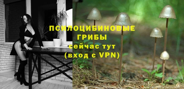 стаф Армянск