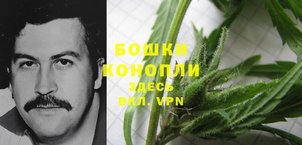 мет Арсеньев