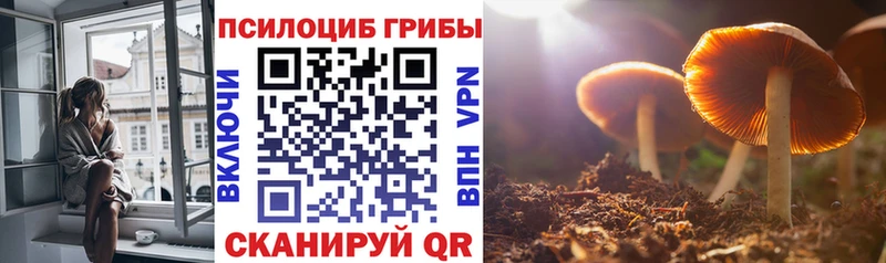Галлюциногенные грибы Cubensis  купить наркоту  Бузулук 